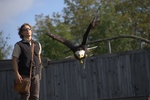 falcon man